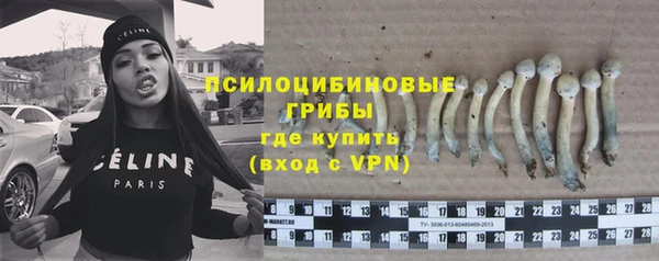 тгк Абинск