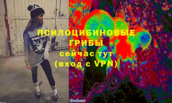 тгк Абинск