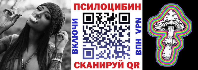 дарнет шоп  Янаул  Псилоцибиновые грибы Psilocybe 