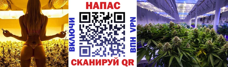 Бошки Шишки гибрид  Янаул 